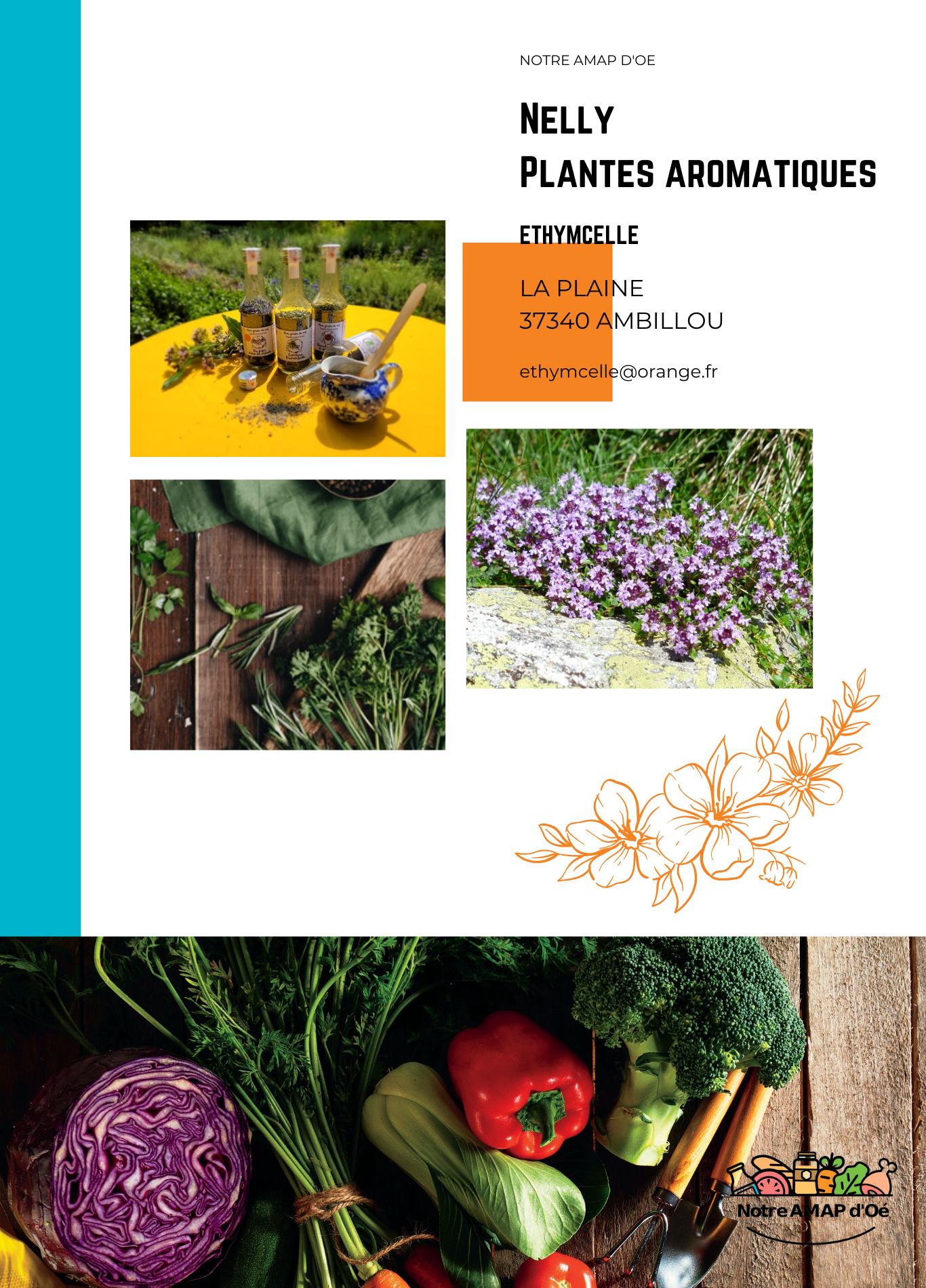 Nelly - Aromates, Biscuiterie, Tisanes.png